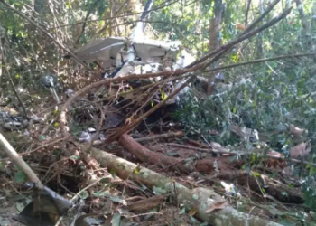 Vídeo mostra adolescente de 12 anos pilotando avião e pai bebendo cerveja antes de queda que matou ambos no MT