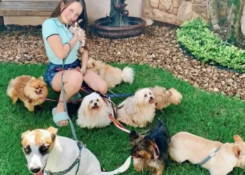 Ex-funcionária diz que mãe de Larissa Manoela maltratava animais da atriz