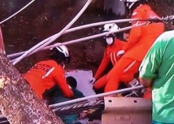 Trabalhador sofre acidente durante poda de árvore na Av.ACM