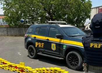 Caminhoneiro é flagrado com 157 kg de cocaína no Extremo Oeste baiano