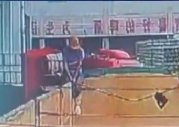 Funcionário de cervejaria é flagrado urinando em tanque de bebida; empresa investiga