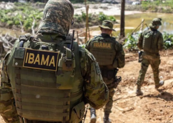 Com 2.500 servidores, Ibama terá mil aposentadorias até 2026