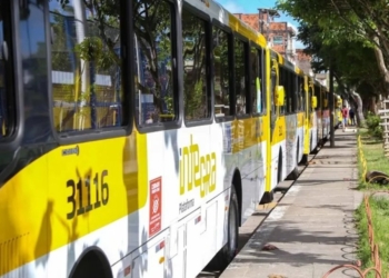 Novas linhas de ônibus são criadas em Salvador; confira