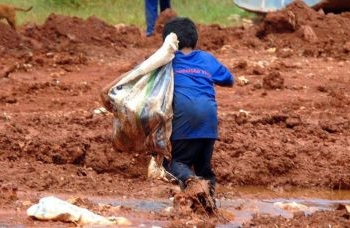 Trabalho infantil cresceu de 2019 a 2022, mostra IBGE