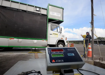 Carnaval 2024: Vistoria de trios elétricos começa nesta segunda-feira no Parque de Exposições