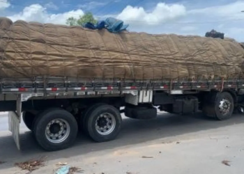 Carga de melancias é retida pela PRF na BR-242