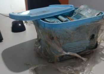 Aposentado encontra pote de sorvete com dinheiro ao limpar terreno