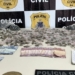 Centenas de porções de maconha e crack são apreendidas pela polícia em Valéria