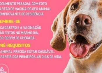 Campanha de vacinação V10 em cães é realizada no bairro de Cajazeiras; confira
