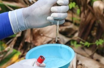 Estado da Bahia tem 175 municípios em epidemia de Dengue