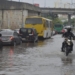 Fortes chuvas em Salvador tem queda de árvores e alagamentos 