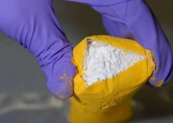 Polícia encontra 150 kg de cocaína que saíram do Brasil na Itália