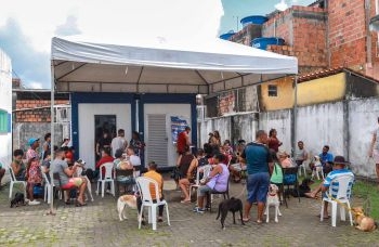 Castramóvel atende gratuitamente animais da região de Cajazeiras