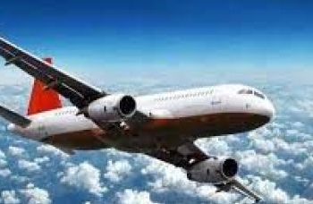Comissão do governo vai definir regras para transporte aéreo de pets