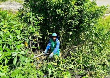 Limpurb realiza mutirão de limpeza e roçagem no Subúrbio de Salvador