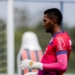 Bahia não renovará contrato com o goleiro Adriel