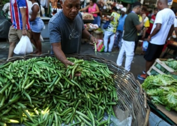 Preço do quiabo dispara às vésperas da Sexta da Paixão