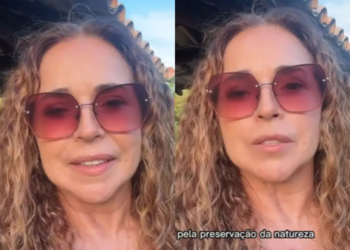 Daniela Mercury critica leilão de áreas verdes em Salvador e cobra posição da prefeitura