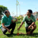 Salvador celebra o Dia da Mata Atlântica com o plantio de 1,2 mil mudas em seis regiões da cidade