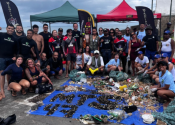 Ação de limpeza no Porto da Barra retira 180 kg de lixo do mar