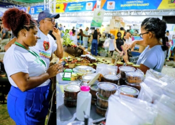 Feira Baiana de Agricultura Familiar reúne diversidade de orgânicos e movimenta Salvador