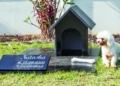 Nova lei pode permitir que pets sejam sepultados junto aos tutores