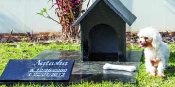 Nova lei pode permitir que pets sejam sepultados junto aos tutores