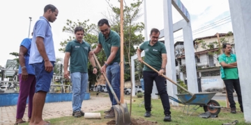 Prefeitura inicia Operação Plantio Chuva 2026 com 125 mudas na região do Mané Dendê