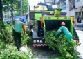 Salvador conta com primeira máquina trituradora de podas para reciclagem orgânica