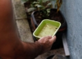 Bahia registra queda de 41% nos casos de dengue em 2026