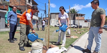 Prefeitura encerra Operação Plantio Chuva com mais de 10 mil mudas em Salvador