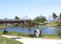 Parque de Pituaçu faz 53 anos e recebe R$ 13 milhões em novas obras